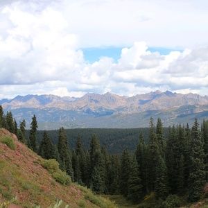 Meet your Posher, Stevie